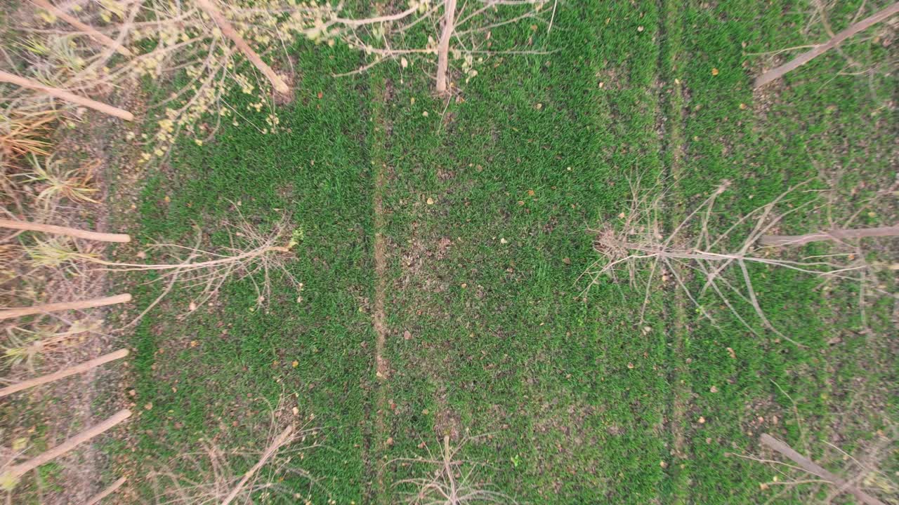 una hermosa toma de la hora dorada de las granjas a lo largo de una pequeña carretera que conduce hacia un pueblo que puede ser ampliamente utilizado para fines cinematográficos