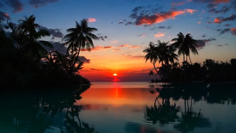 a sunset over a body of water with palm trees in the foreground