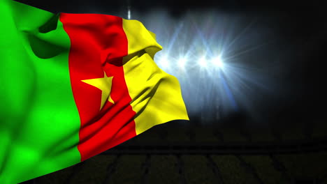 Large-cameroon-national-flag-waving-