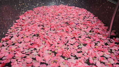 rose petals in a stone bathtub