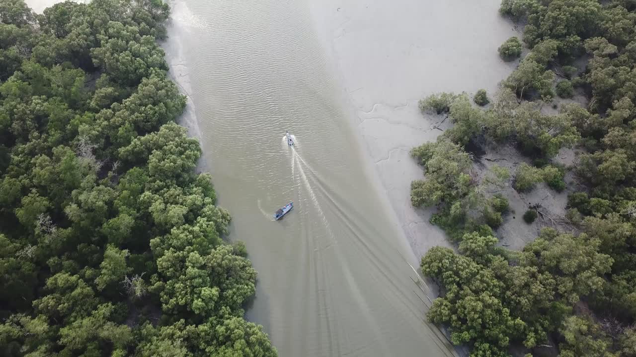 맨그로브 숲 근처의 바다로 이동하는 보트를 따르십시오.