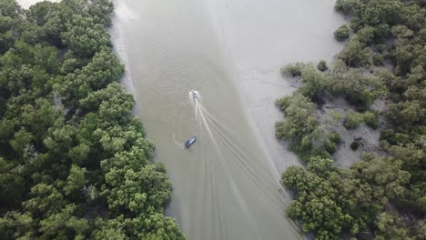 Top-view-follow-boat-moving-to-the-sea-near-mangrove-forest.