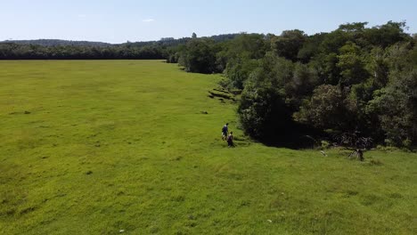 Zwei-Entdecker-Gehen-Mit-Rucksäcken-In-Einen-Wilden-Wald