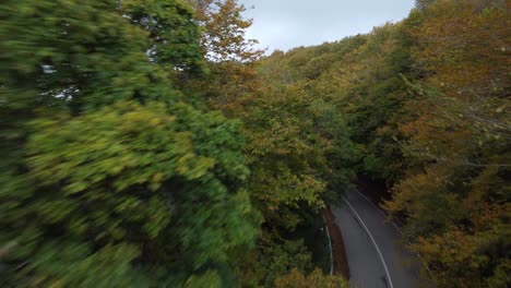 a scenic road winding through a forest with vibrant autumn foliage, creating a picturesque and serene environment