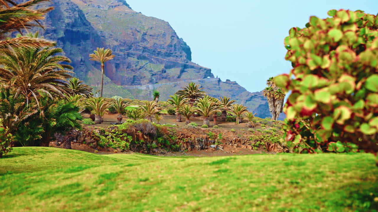 해안선 근처에 있는 테네리페에 있는 골프 코스의 파노라마 뷰. 뒷면에는 초록색, 나무, 초록색 산이 보인다.