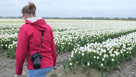 prado de flores, mujer joven caminando, fotografía con lente de cámara digital