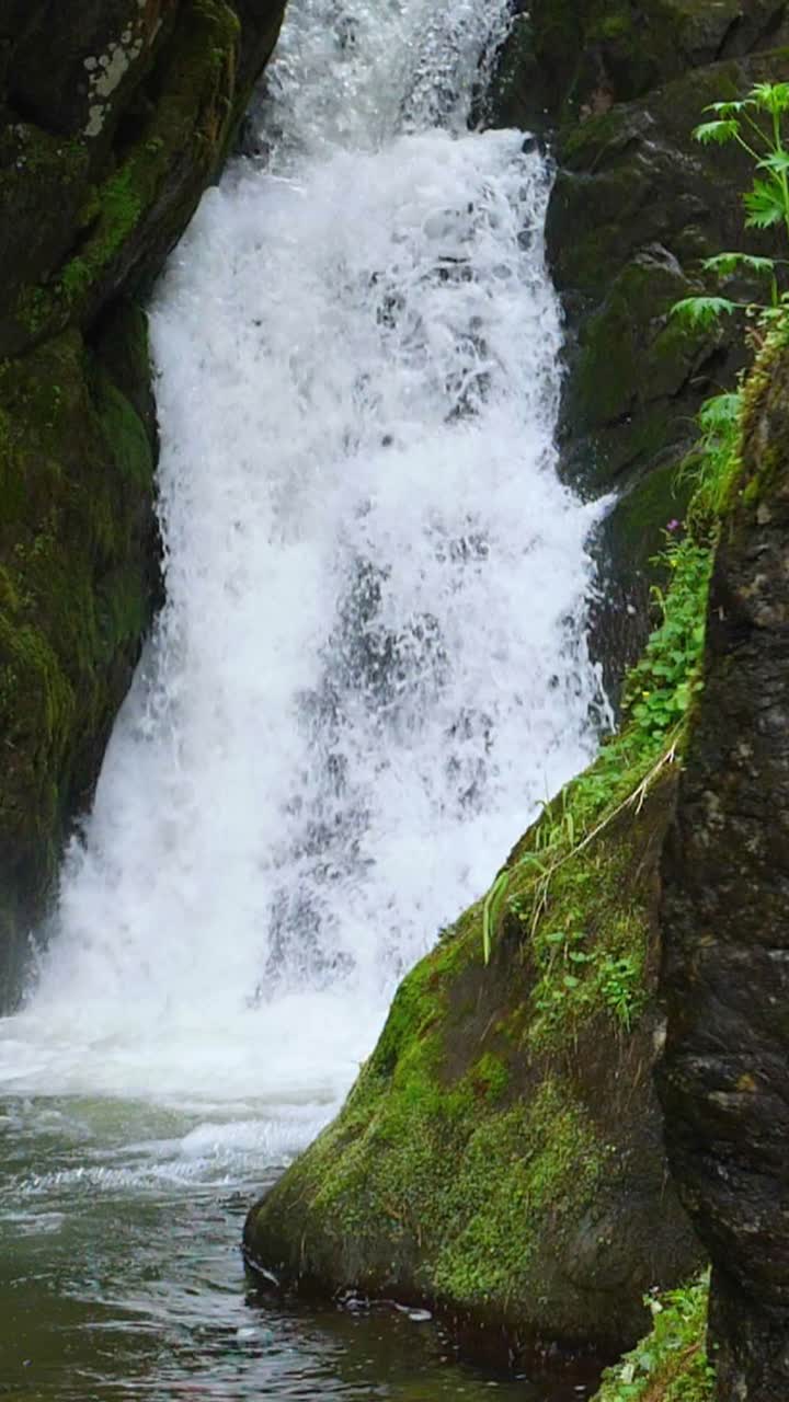 Cascata di montagna in un bosco
