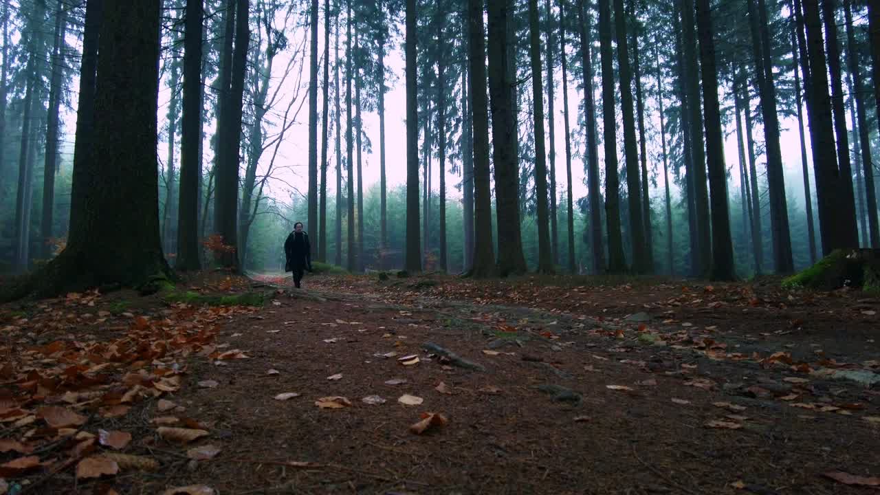 Man with dressed in all black walked into the silent and foggy forest