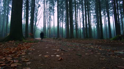 Man-with-dressed-in-all-black-walked-into-the-silent-and-foggy-forest