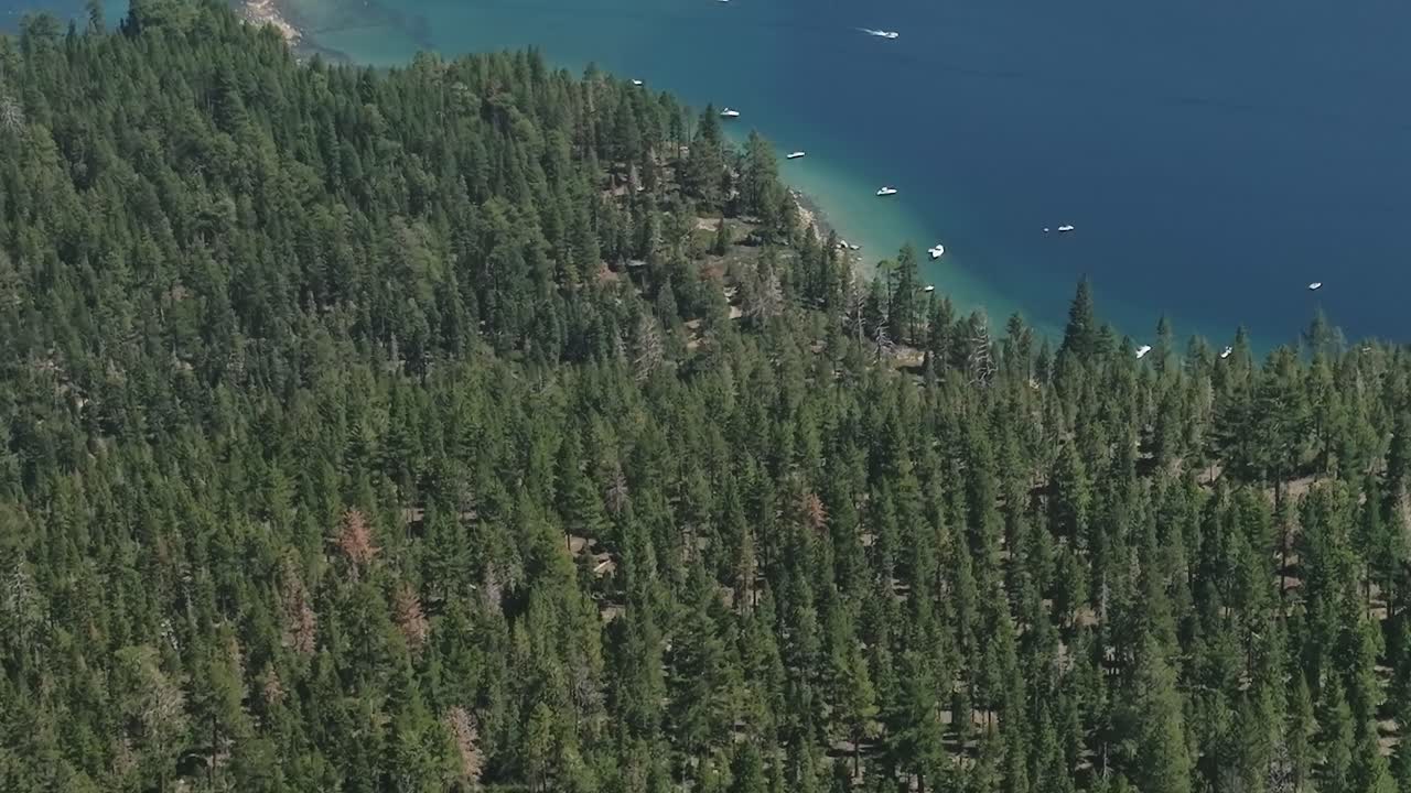 Oplev skov- og søudsigten ved Lake Tahoe om sommeren