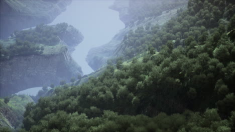 serene river valley in foggy mountains