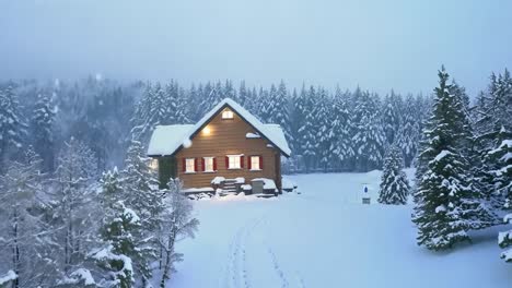 cozy cabin in a snowy winter forest