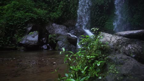 Close-up-shot-of-rocks-with-plants-and-moss-during-splashing-waterfall-in-background