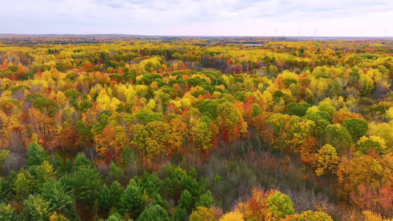 tiempo máximo de cambio de color en el área de michigan medio