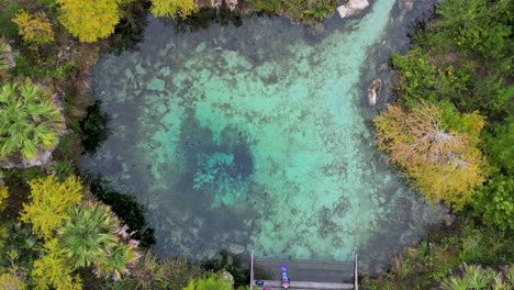 Direkt-Nach-Unten-Fallender-Drohnenschuss,-Der-Von-Oben-Auf-Das-Kristallklare-Wasser-Von-Pitt-Springs-Im-Panhandle-Im-Nordwesten-Floridas-Fällt-Und-In-Den-Econfina-Creek-Mündet