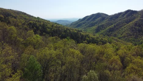 blue ridge mountains in spring near asheville