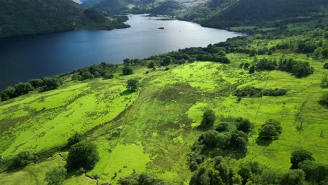 Flying-high-over-lush-green-fields-towards-dark-lake-surrounded-by-wooded-mountainsides-on-bright-summer-day