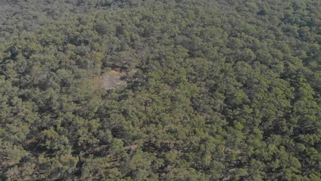 Toma-Aérea-De-Un-Gran-Afloramiento-De-Granito-En-Medio-Del-Monte-En-Victoria-Australia