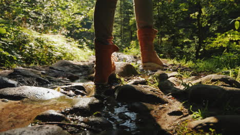 a female tourist is walking along a stony path in the forest early morning trekking and active lifes