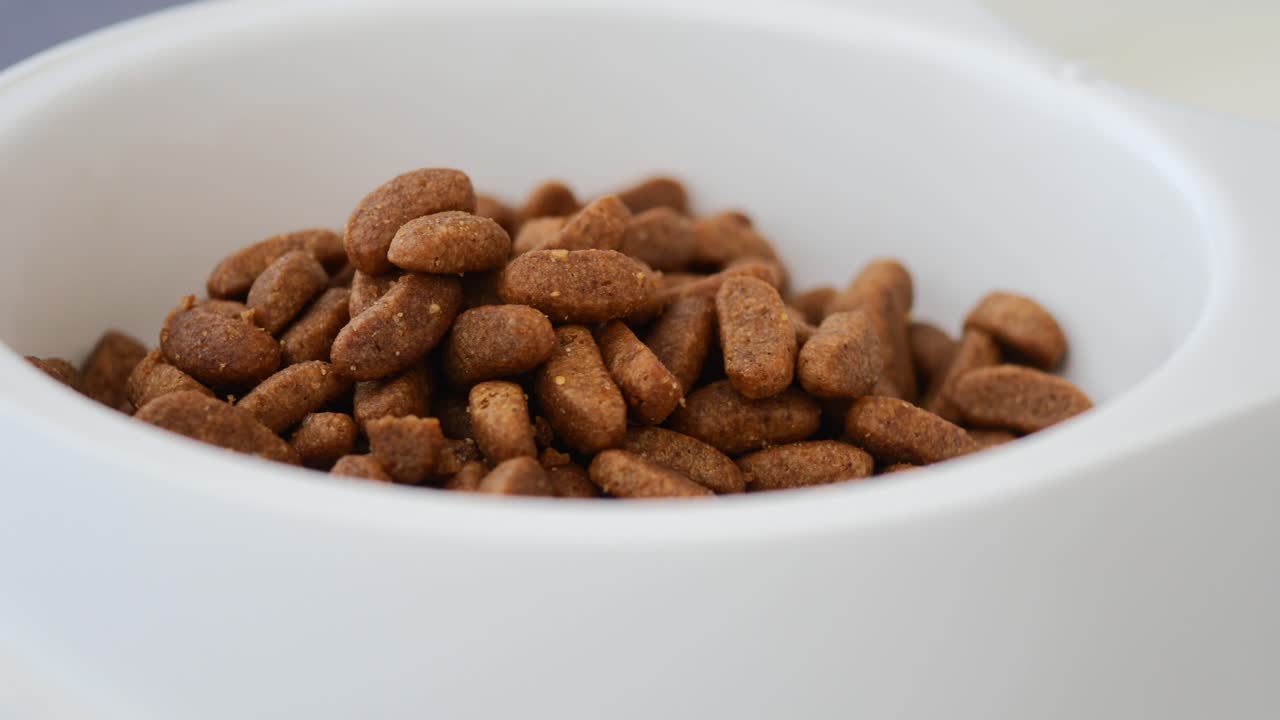 A bowl full of dry cat food