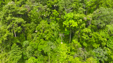 a cable car surrounded by lush vegetation in costa rica, central america