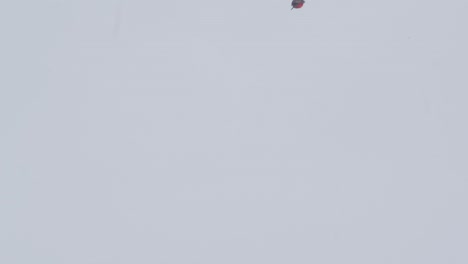 brilliantly colored male vermilion flycatcher puts on flight aerial display to attract the female