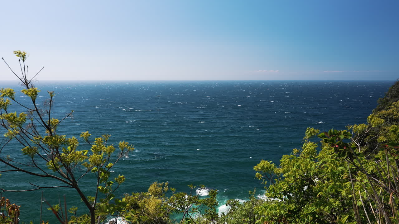 Vista panoramica costiera con rami di alberi freschi e onde blu intenso