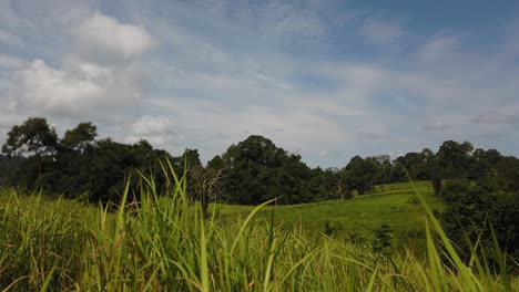 Landscape,-Bluesky,-Moving-Clouds,-People-Nature-Walking-at-a-Distance