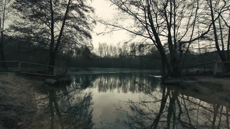 una bahía de un lago en un bosque con árboles desnudos