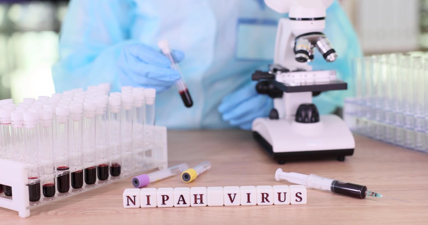 Worker studies bloodfilled test tube for traces of nipah virus