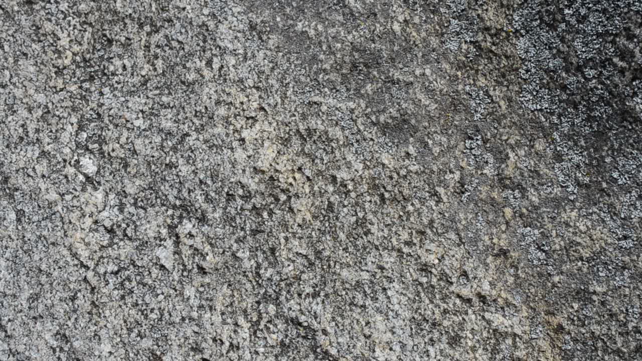 Fotografering av en stein. Bakgrunn fra en stein