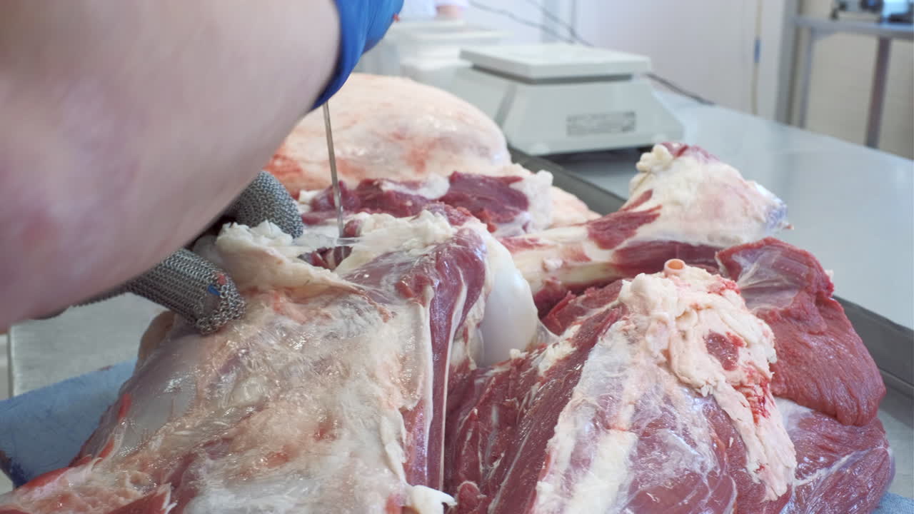 trasformazione della carne in un impianto commerciale
