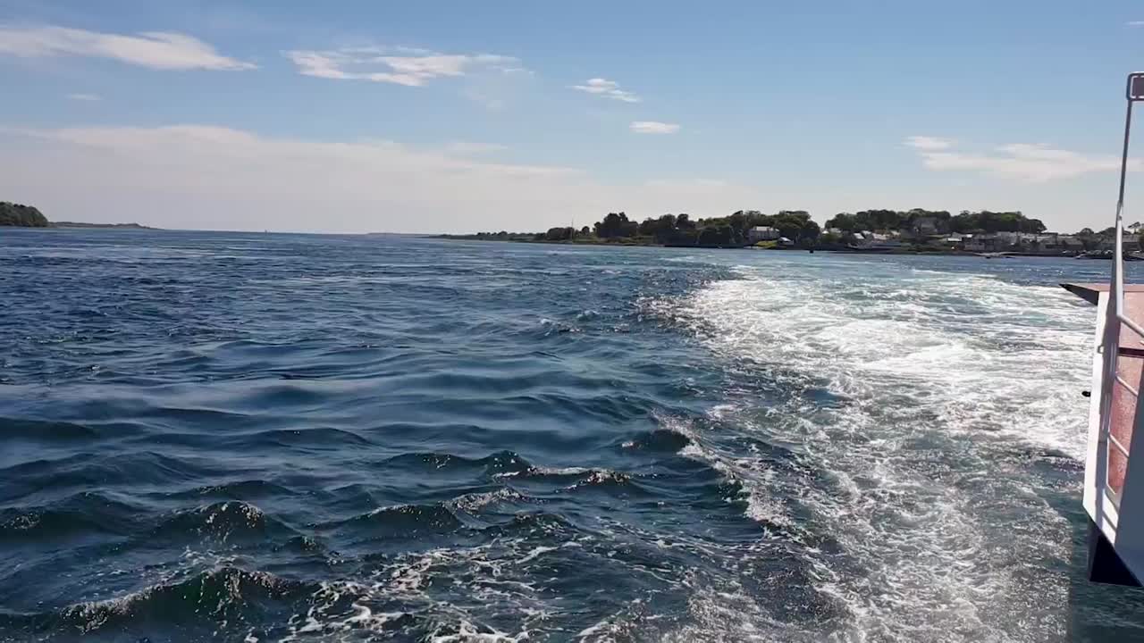 아름다운 6월의 어느 날, strangford에서 portaferry로 가는 strangford lough 자동차 페리에서