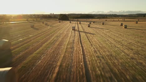drone flies backward over a neat line of rolled hay bales in a golden field, showcasing rural farmland patterns.
