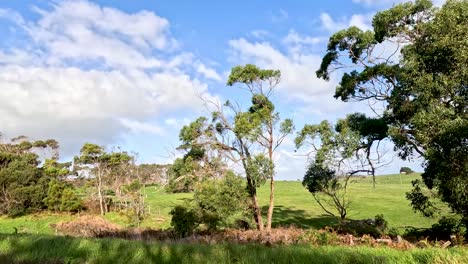 lush landscapes and clear skies in australia