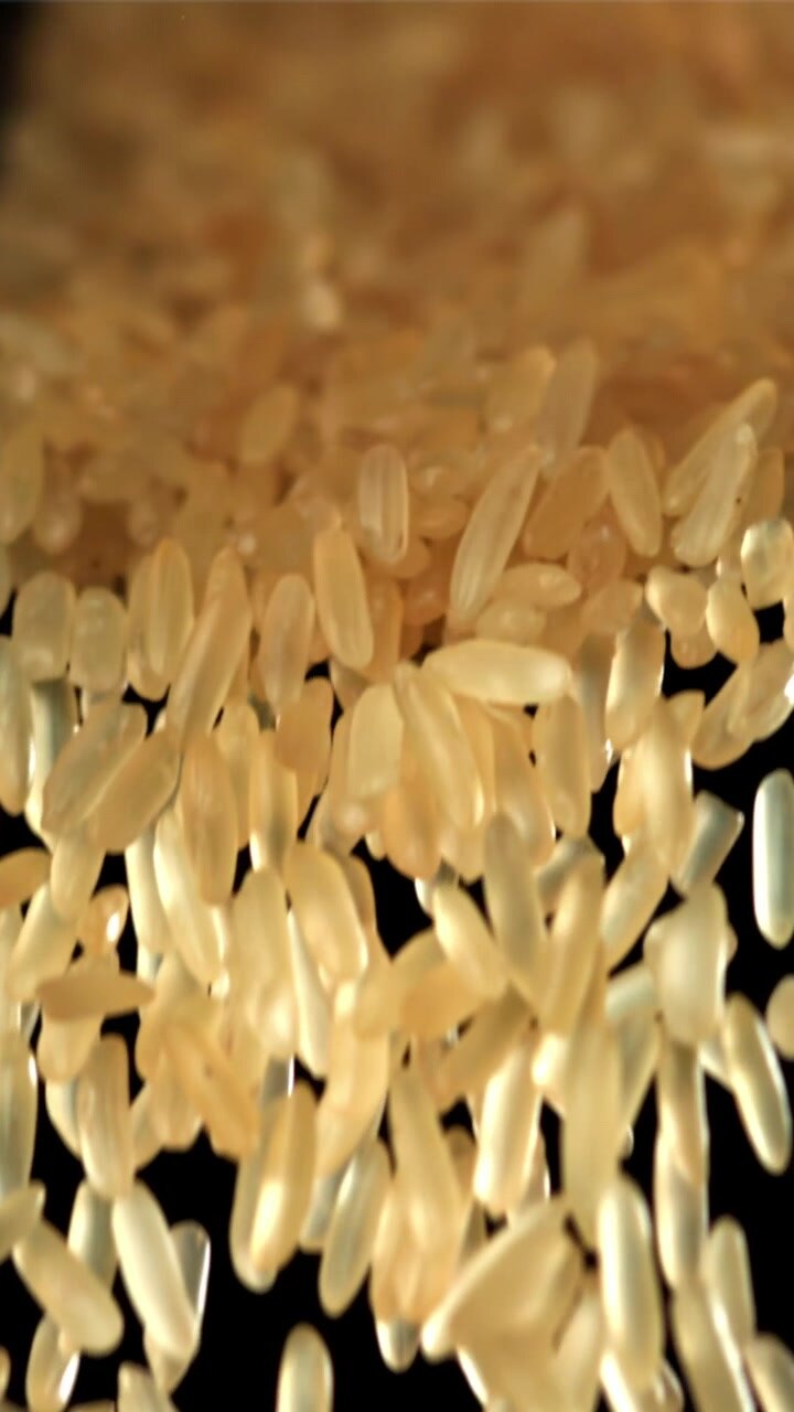 Golden Rice Grains Falling in Slow Motion Against a Black Background