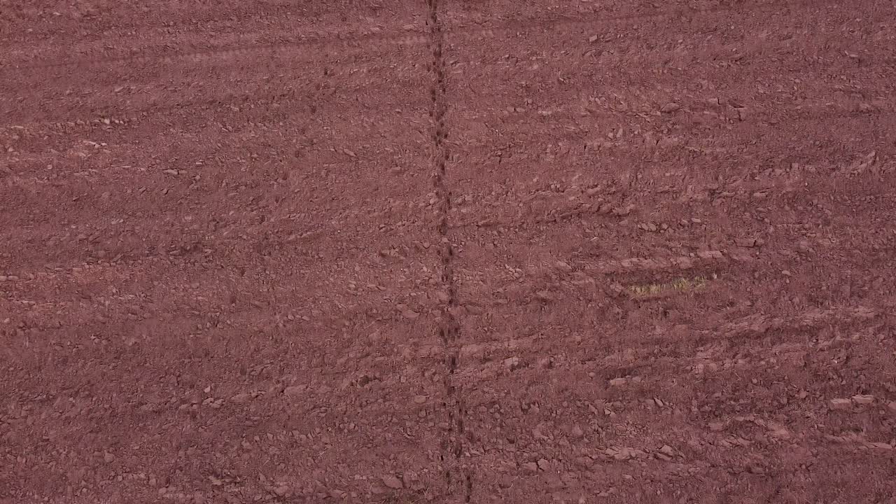 rastros de huellas de corzo de alce en la vista aérea del suelo del campo arado