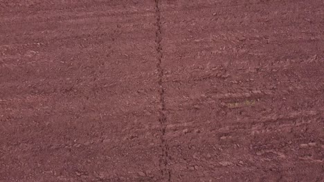 moose roe deer footprint traces in plowed field soil aerial view