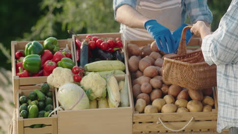 a woman buys fresh vegetables at a farmer's market. the shop assistant hands her a basket of vegetables.