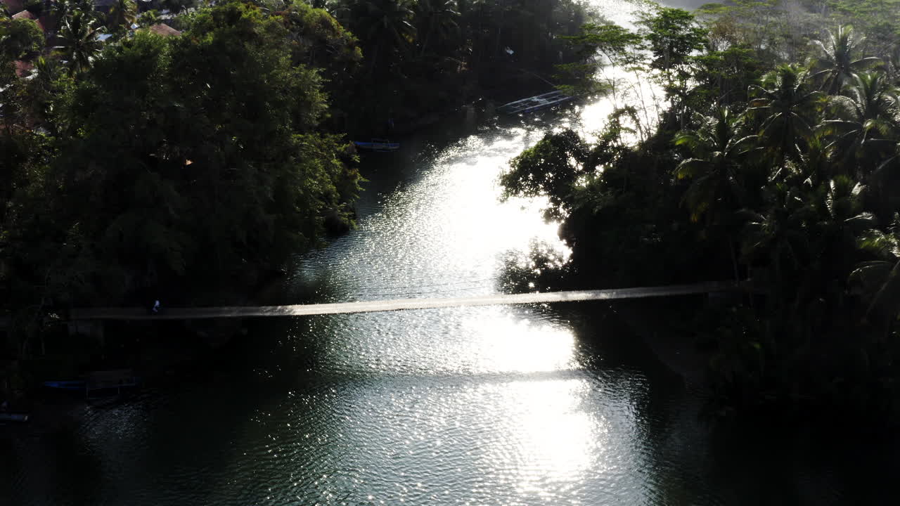 Aerial View of a Bridge over a River in Tropical Landscape