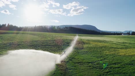 irrigation of green crops 4k