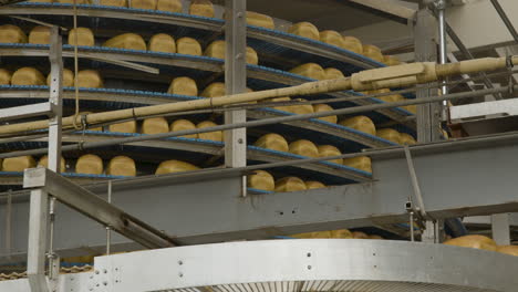 a carrousel of bread in a bread factory