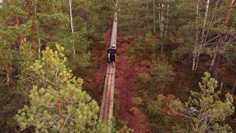 woman push baby stroller on narrow wooden forest pathway, aerial view