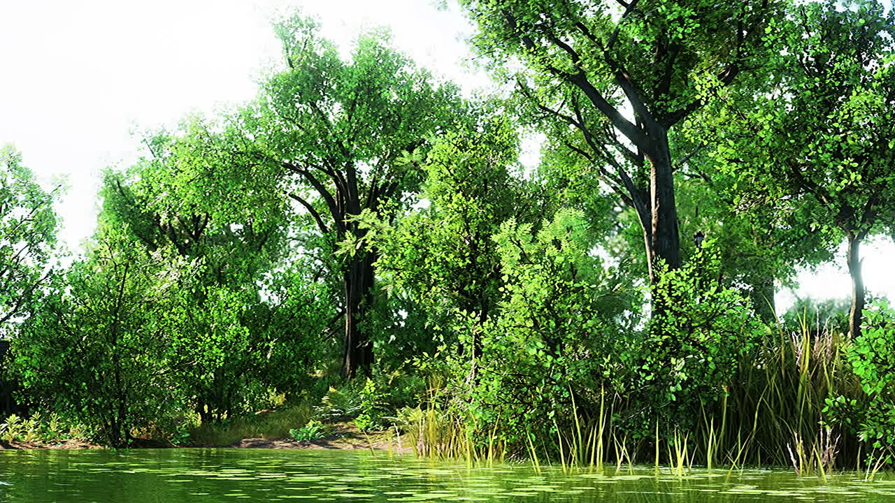 여름 녹색 숲 연못 풍경