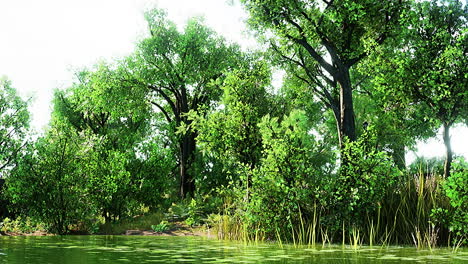 Paisaje-De-Estanque-De-Bosque-Verde-De-Verano