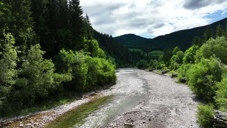 Luftdrohne-über-Der-Naturparklandschaft-Des-Logartals,-Fluss-Savinja,-Slowenien,-Europäisches-Reiseziel,-Unverschmutzte-Mutter-Erde