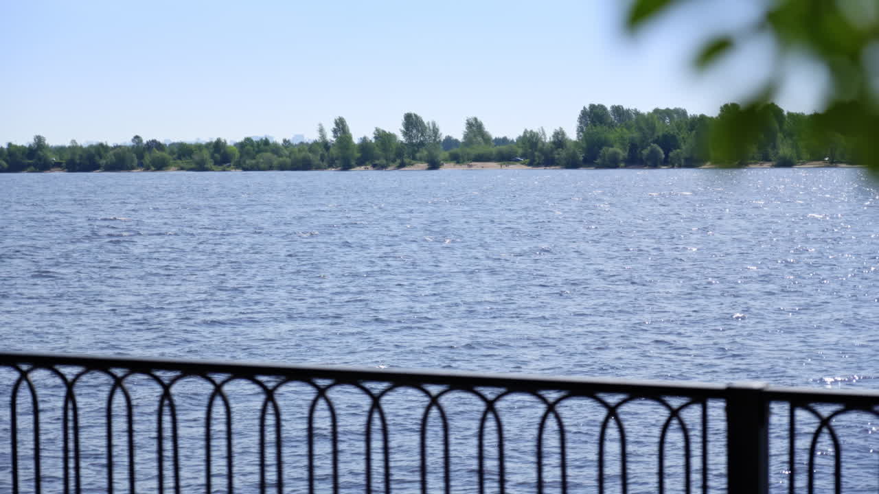 나무와 해변이 있는 강 풍경