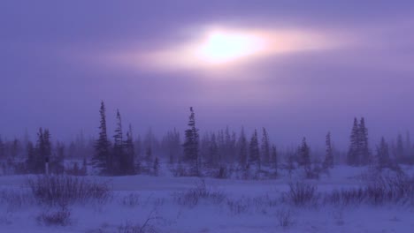 point of view shot from a tundra vehicle of frozen tundra  in the arctic during an intense blizzard