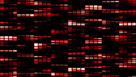 red and black dna sequencing animation with glowing bars