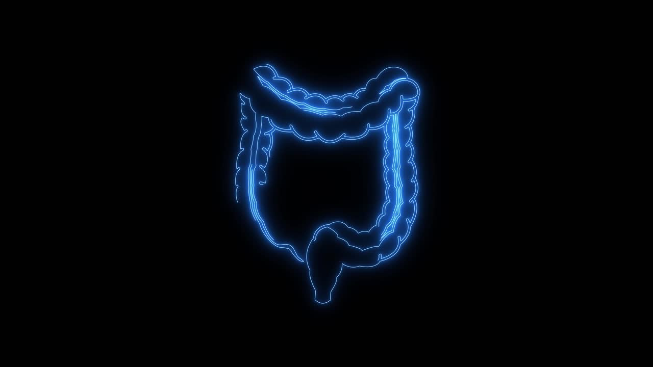 Contorno al Neon Blu dell'Anatomia del Colon Umano